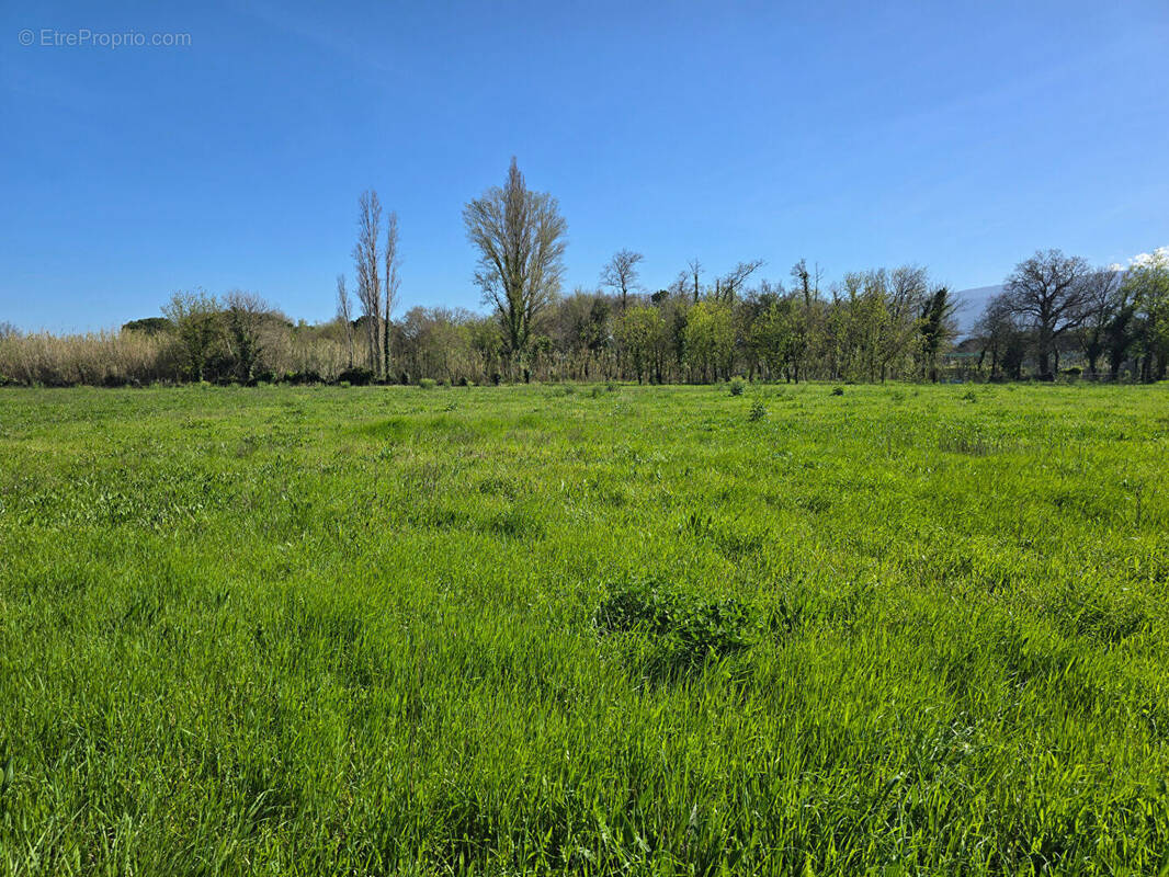 Terrain à ARGELES-SUR-MER