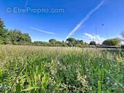 Terrain à CHATEAUNEUF-DE-GADAGNE
