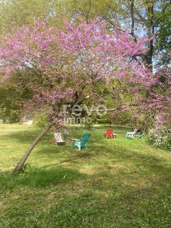 Maison à LA CHEVROLIERE