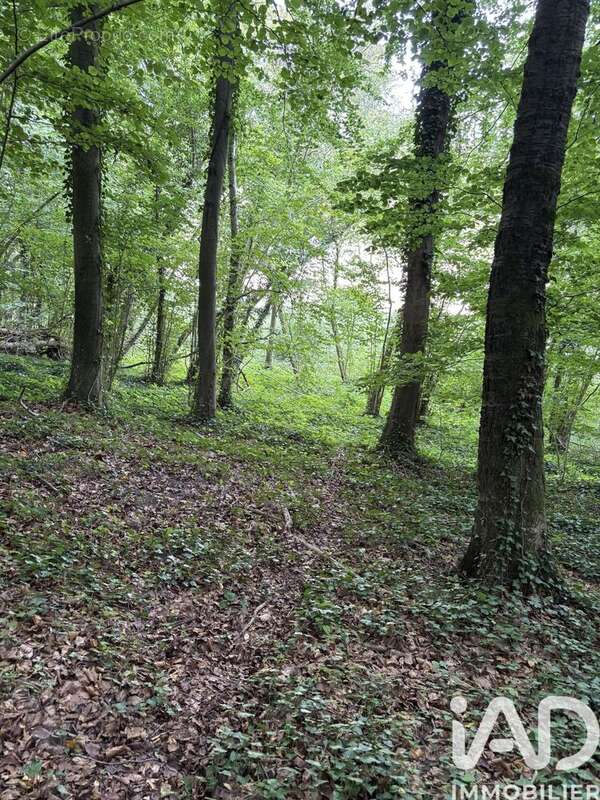 Photo 2 - Terrain à DOULLENS