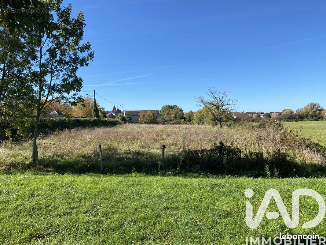 Terrain à SAINT-PIERRE-LE-MOUTIER