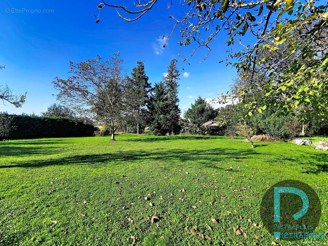 TERRAIN PLAT - Terrain à SAINT-CYR-SUR-MENTHON