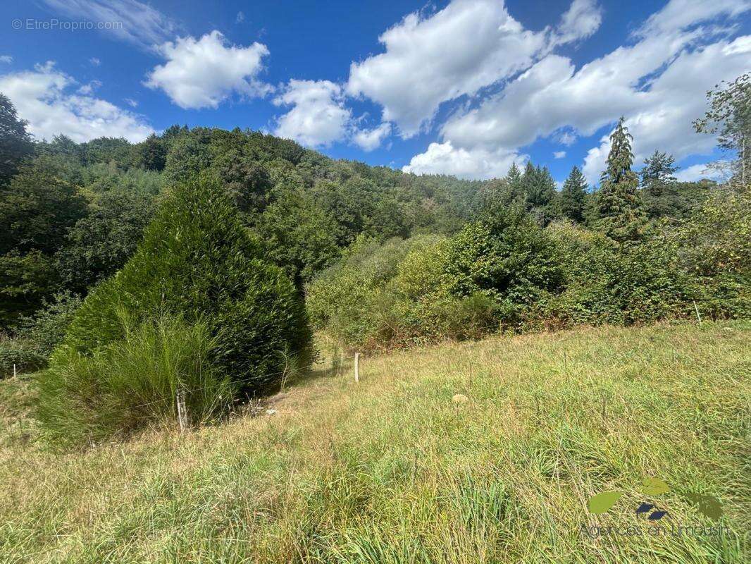 Maison à SAINT-MARTIN-SAINTE-CATHERINE