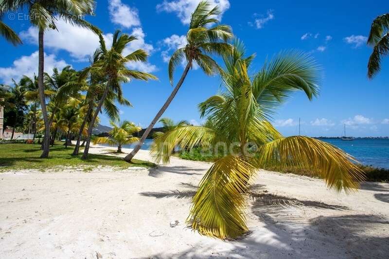 Appartement à SAINT-MARTIN