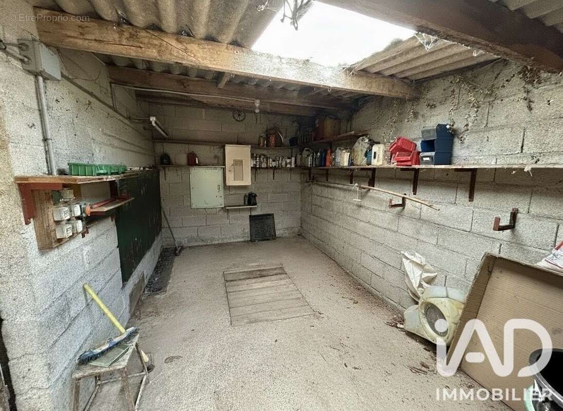 Photo 8
