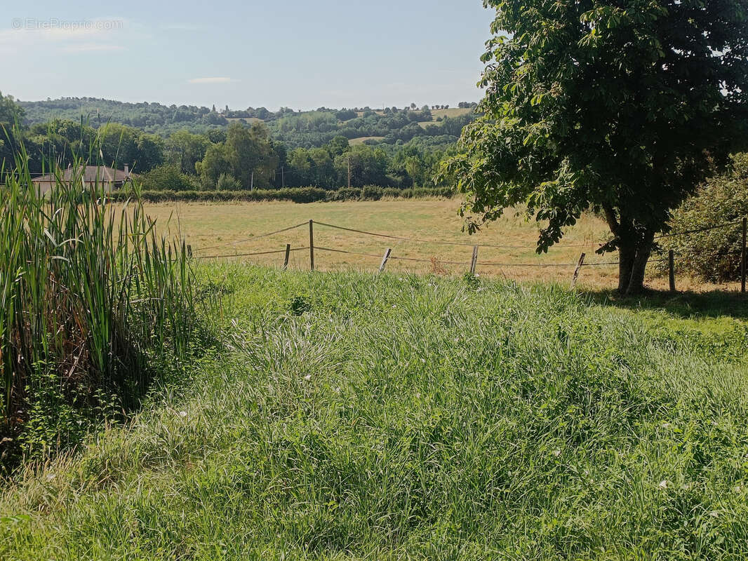 PRIMARETTE belle Bâtisse 280m2 avec terrain attenant de 2 hectares - photo 29