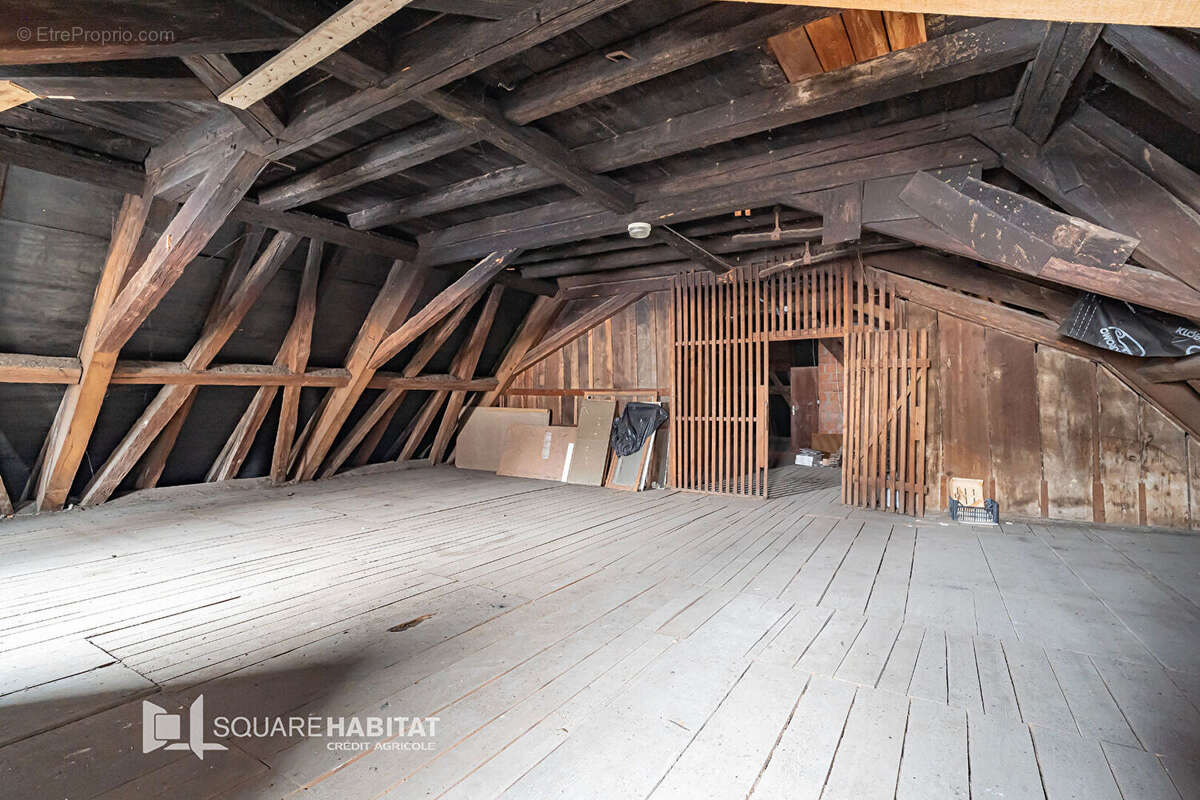 Appartement à DANNEMARIE