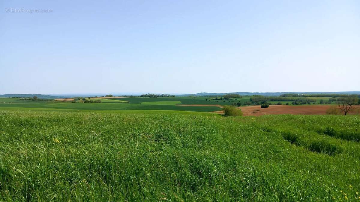 Maison à REGNEVELLE