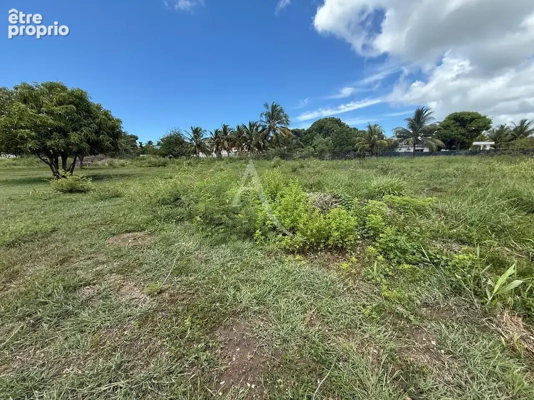 Rare sur le secteur : Parcelle d'exception de 4 000 m² pour grand projet - photo 2
