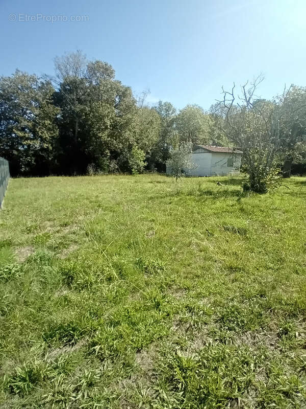 Terrain à GUJAN-MESTRAS