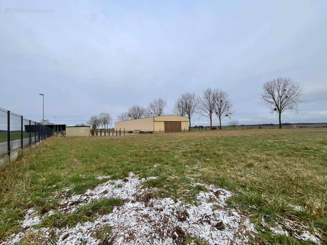 Photo 3 - Terrain à HORNOY-LE-BOURG