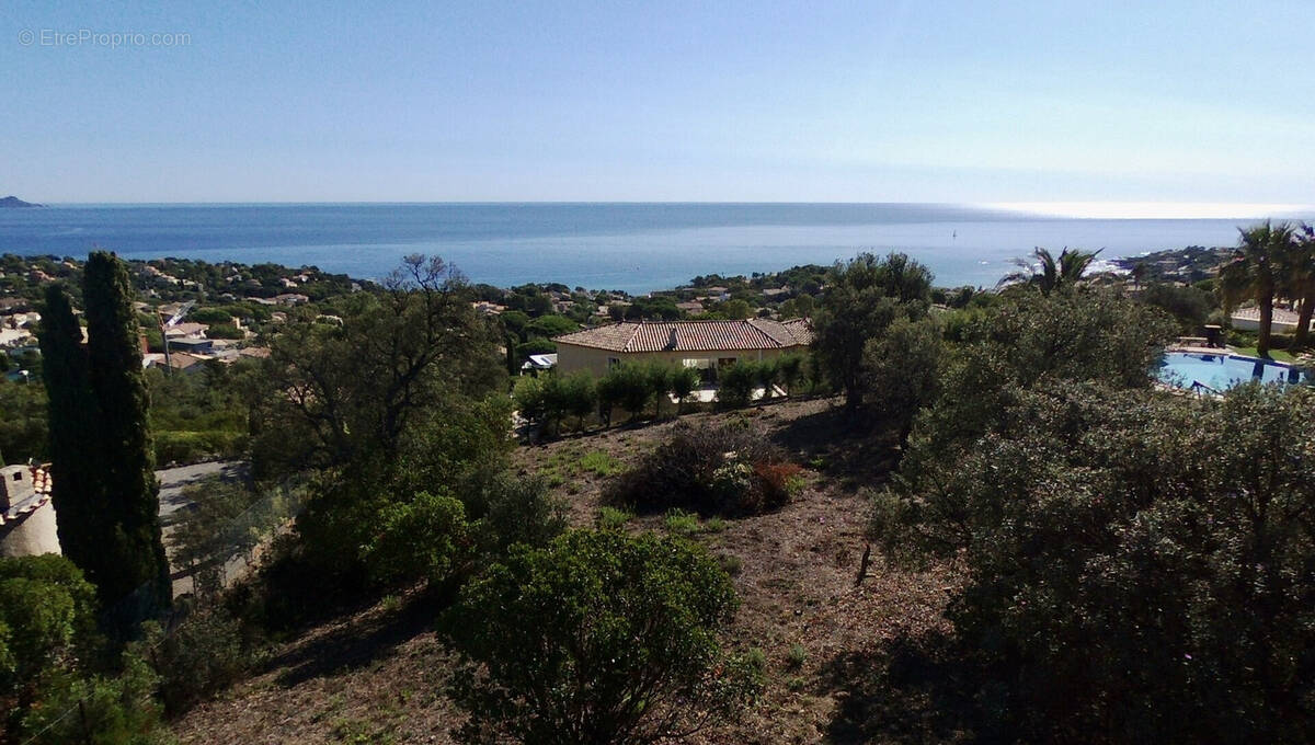 Terrain à LES ISSAMBRES