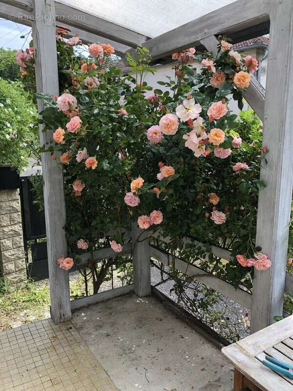 Charmante maison individuelle avec jardin en Haute-Saône. - photo 48