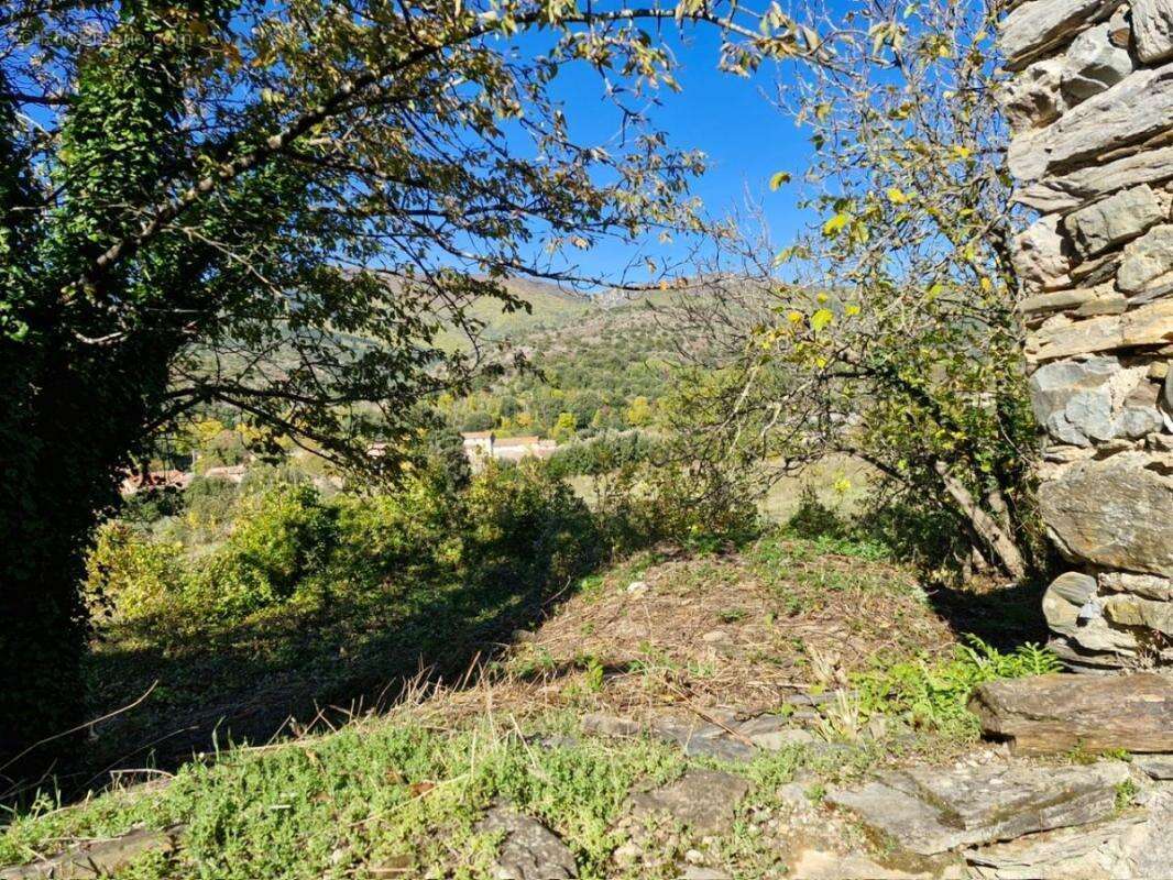 Maison à SAINT-ETIENNE-D&#039;ALBAGNAN