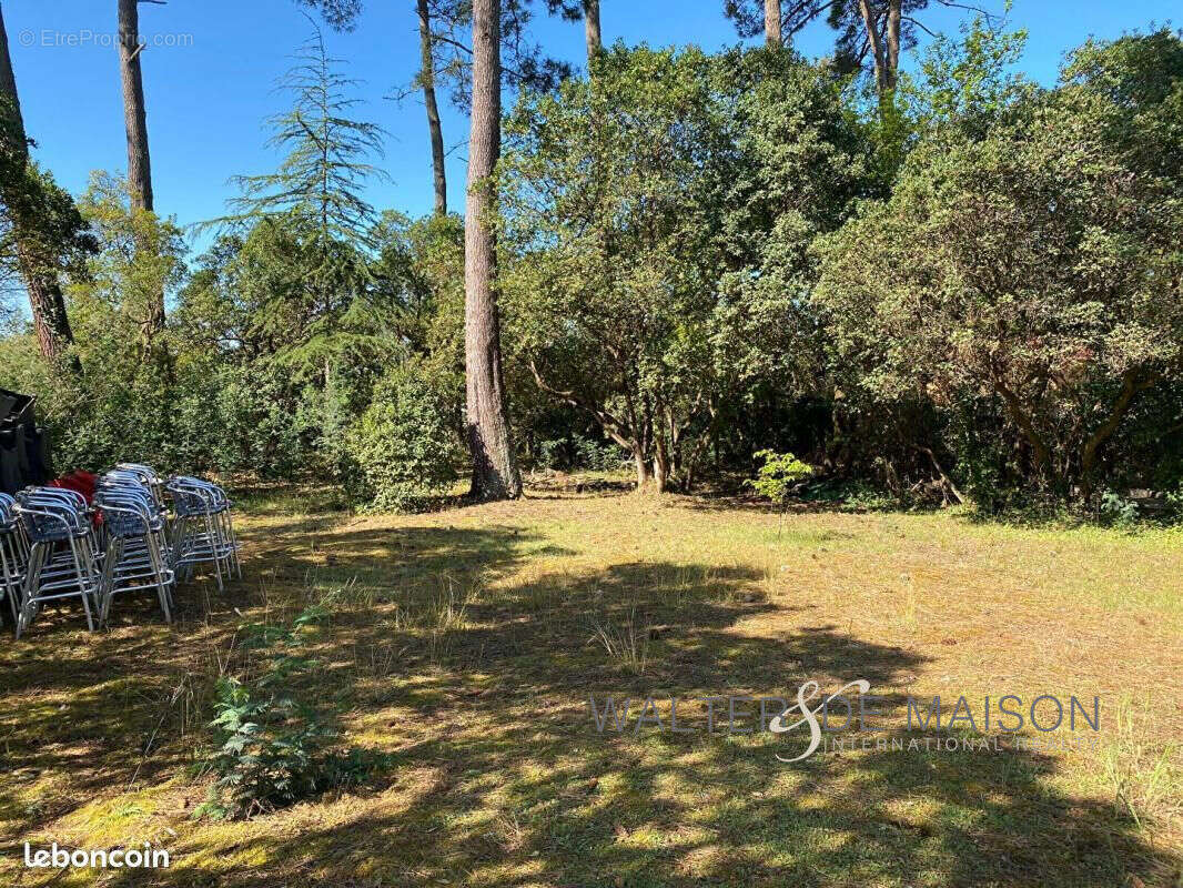 Terrain à LEGE-CAP-FERRET