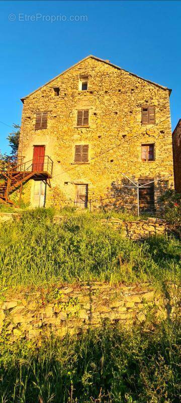 Maison à POGGIO-DI-VENACO