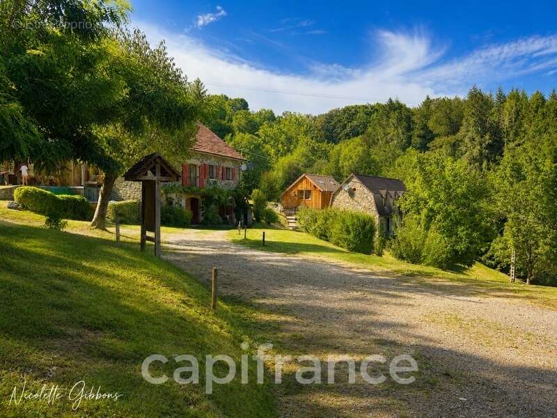 Domaine avec Trois Gîtes, Deux Sources Naturelles, Deux Piscines et 6 Hectares aux Portes de Beaulieu-sur-Dordogne - photo 3