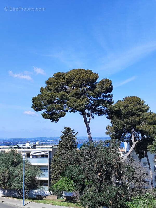 Appartement 71m2 , 3 pièces , dernier étage dans résidence moderne, grande terrasse - photo 5