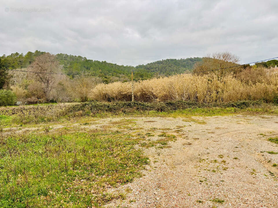 Terrain à PIERREFEU-DU-VAR