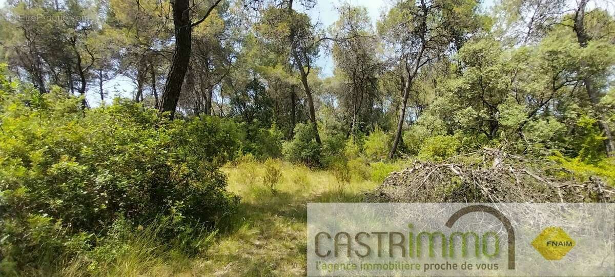 Terrain à BUZIGNARGUES