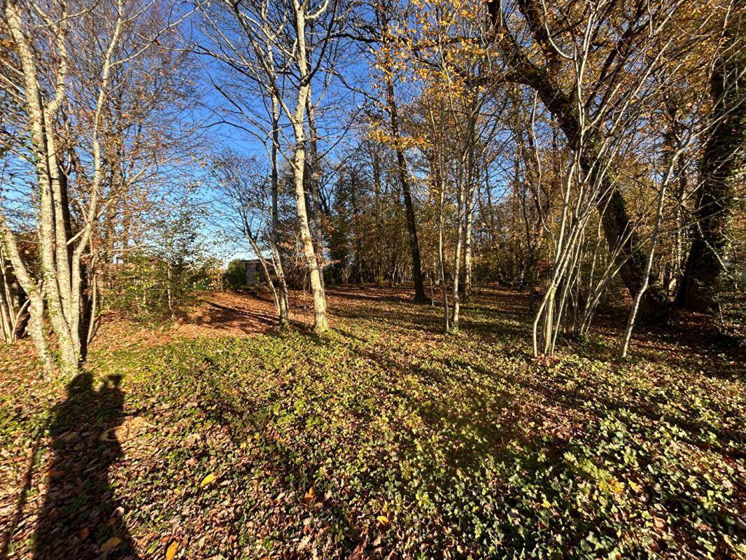 Terrain à MARSAC-SUR-L&#039;ISLE