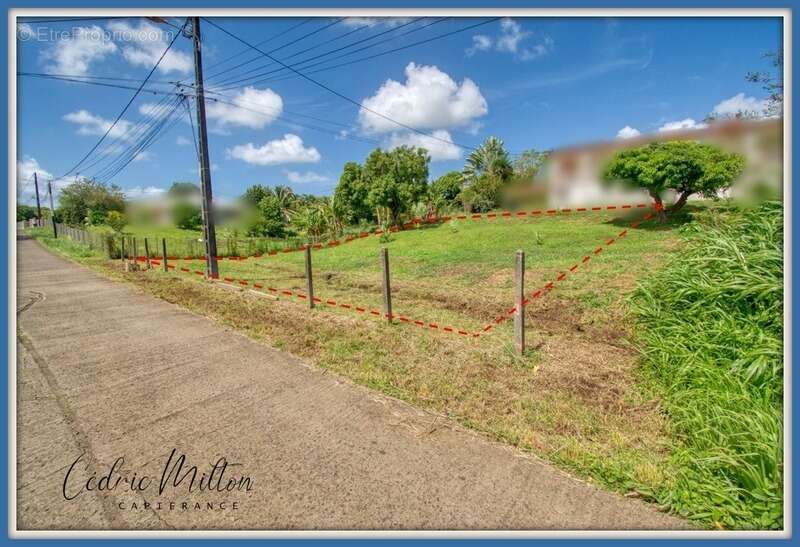 Terrain à LE LAMENTIN