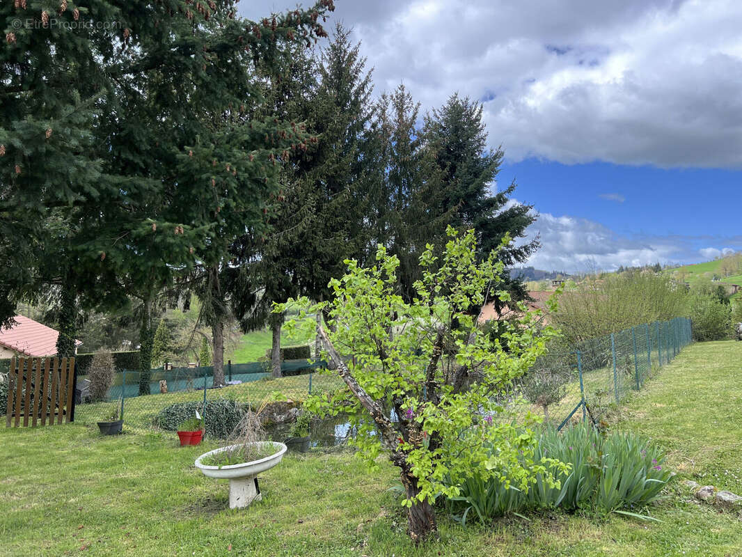 Photo 3 - Maison à COURS-LA-VILLE