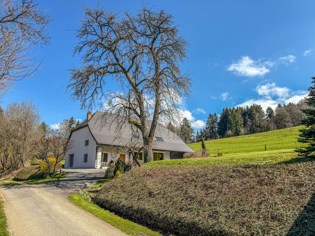 Maison à MENTHONNEX-EN-BORNES