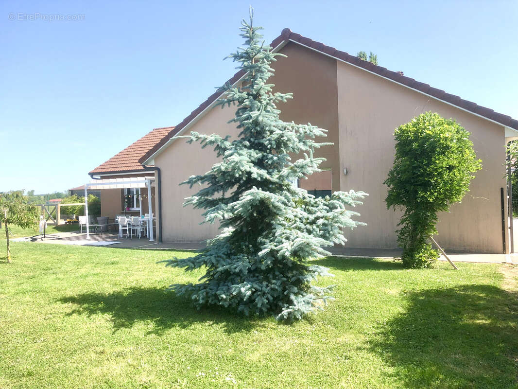 Maison à BULGNEVILLE