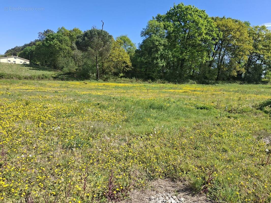 Terrain à SAINT-CRICQ-CHALOSSE