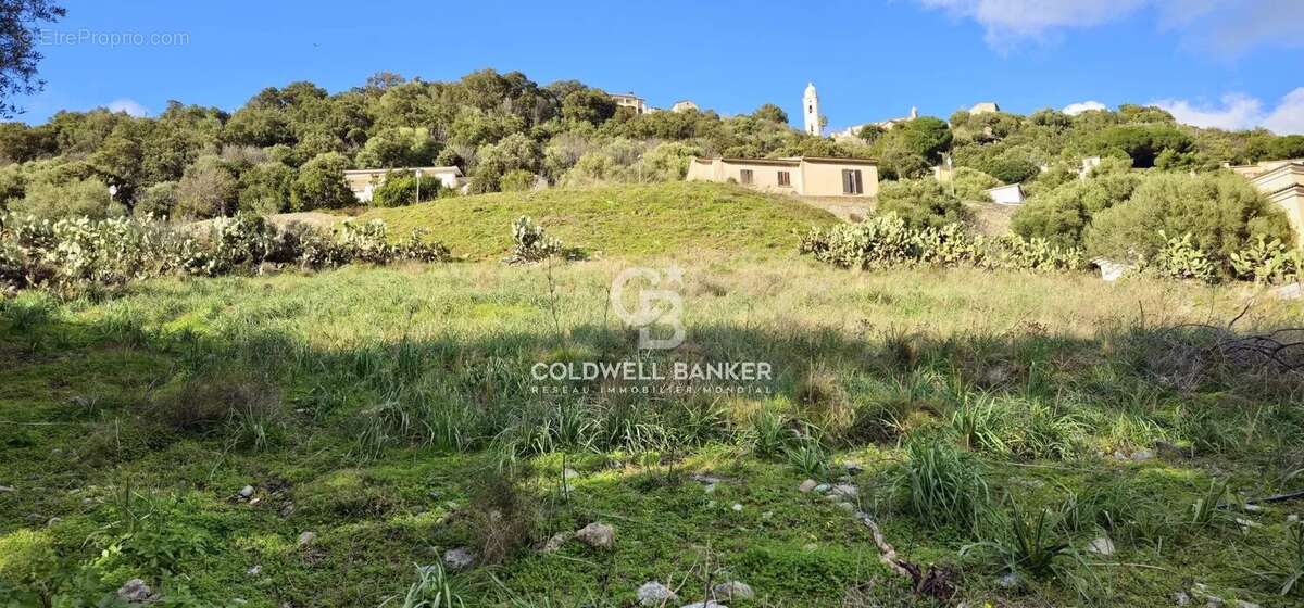 Terrain à VILLE-DI-PIETRABUGNO