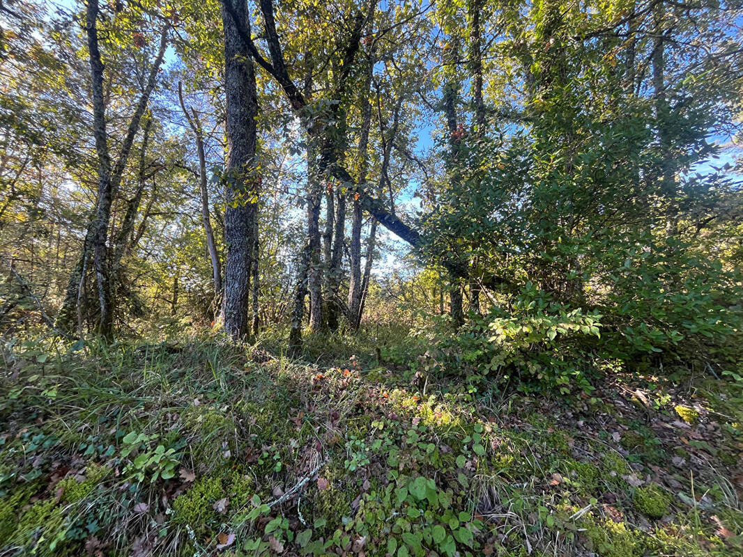 Terrain à BASSILLAC