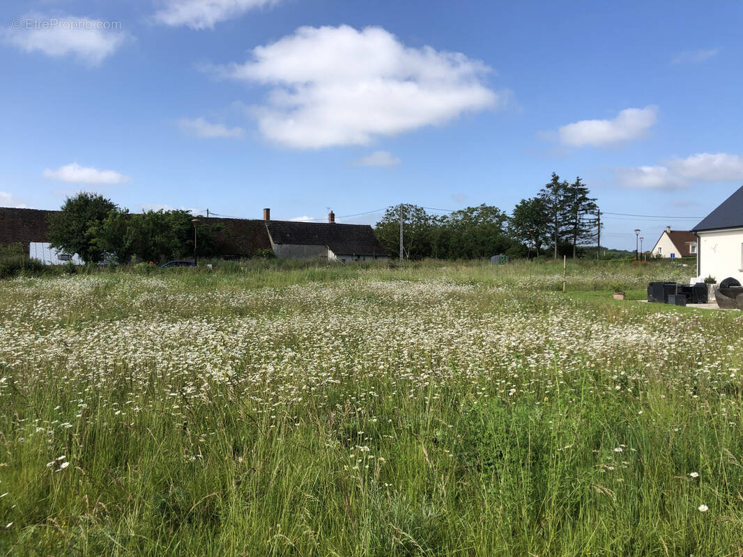 Terrain à AZAY-SUR-CHER