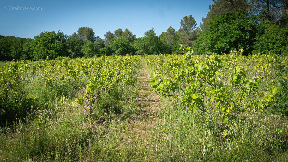 Maison à L'ISLE-SUR-LA-SORGUE