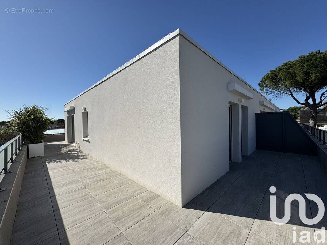 Photo 1 - Appartement à MONTPELLIER