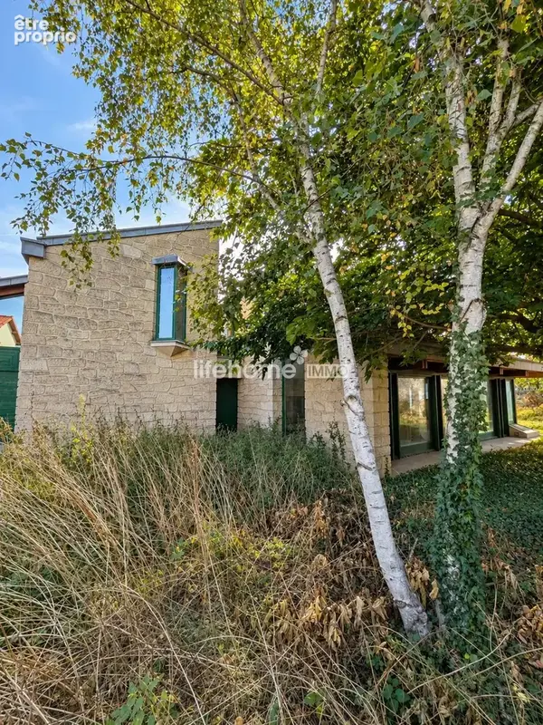 Maison 7 pièces 320 m² à vendre à Saint-Maur-Des-Fosses (94100) - photo 3