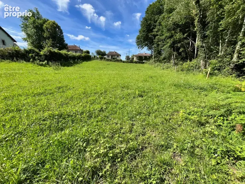 Terrain 1 444 m² à vendre à Roannes-Saint-Mary (15220) - photo 2