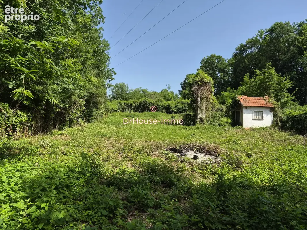 Terrain 1 101 m² à vendre à Champagne-Sur-Seine (77430) - photo 7