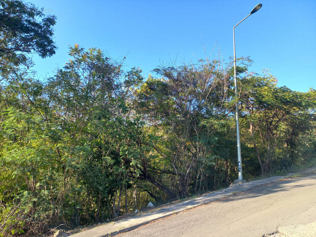 Terrain à BOUILLANTE