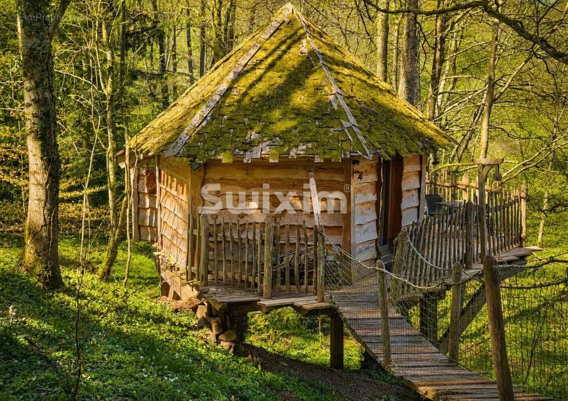 Domaine nature & tourisme - photo 5