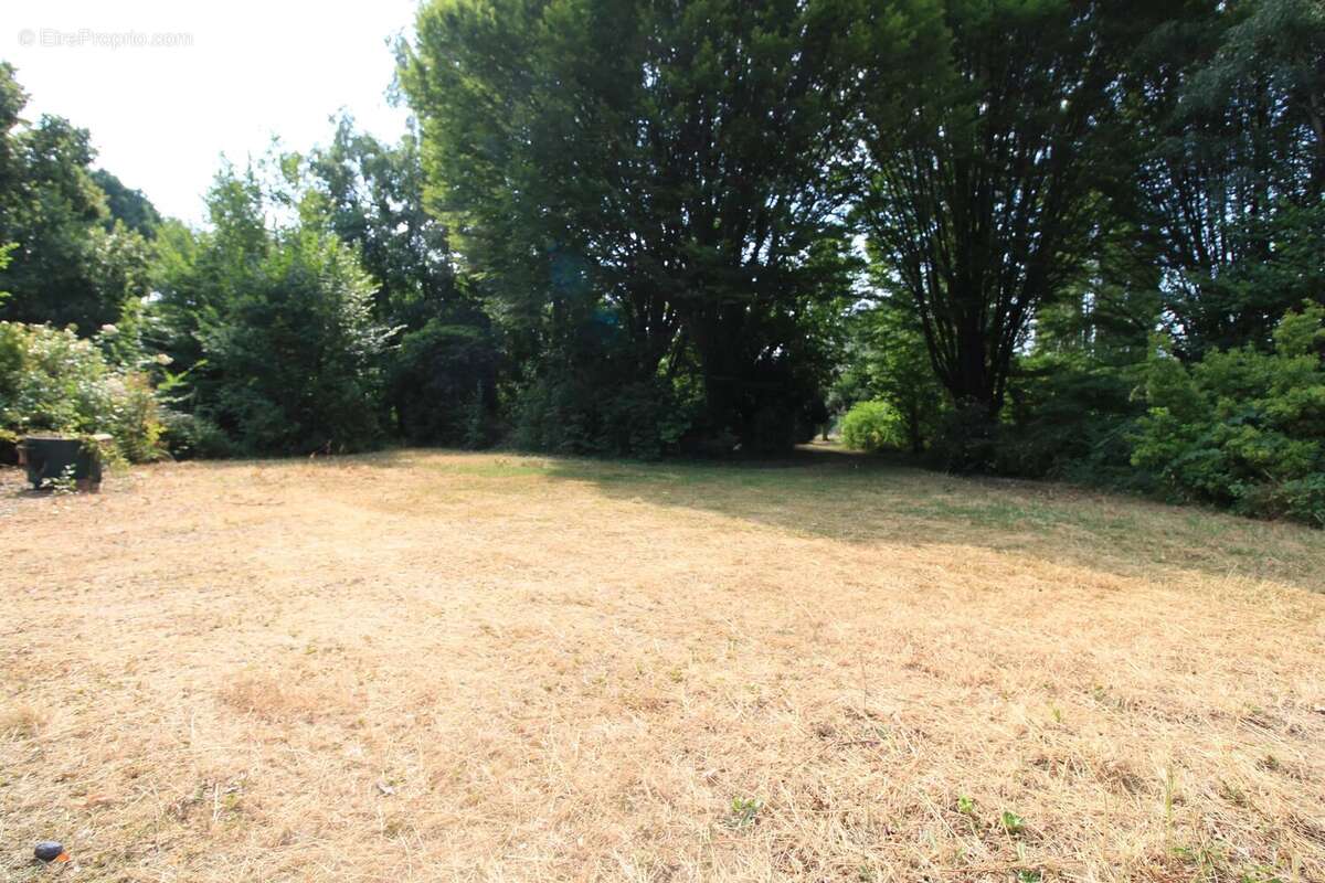 Propriété d'architecte de 316 m² sur un terrain de 14000 m² - photo 4