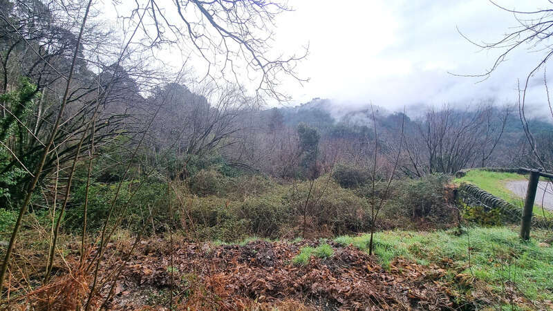 Terrain à LE COLLET-DE-DEZE