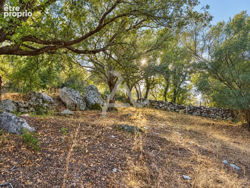 À seulement 3 min de porto-vecchio   terrain de 18 830 m2 avec pc purgé pour villa de 195 m2 avec piscine - photo 4