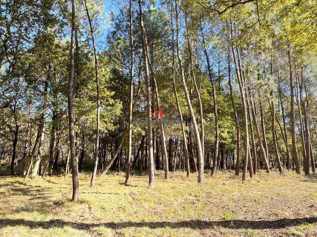 Terrain à LARUSCADE