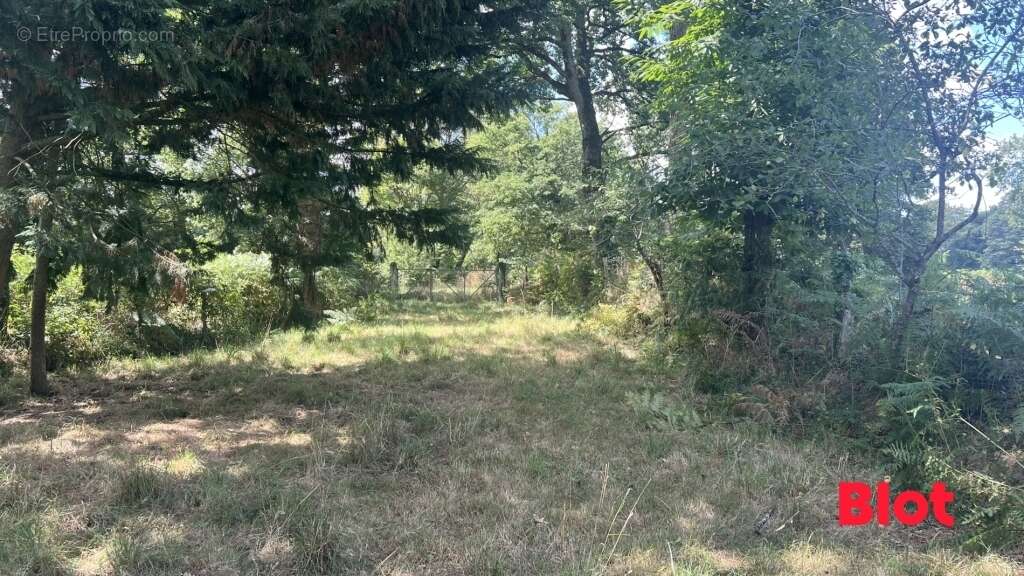 Maison à ERCE-PRES-LIFFRE