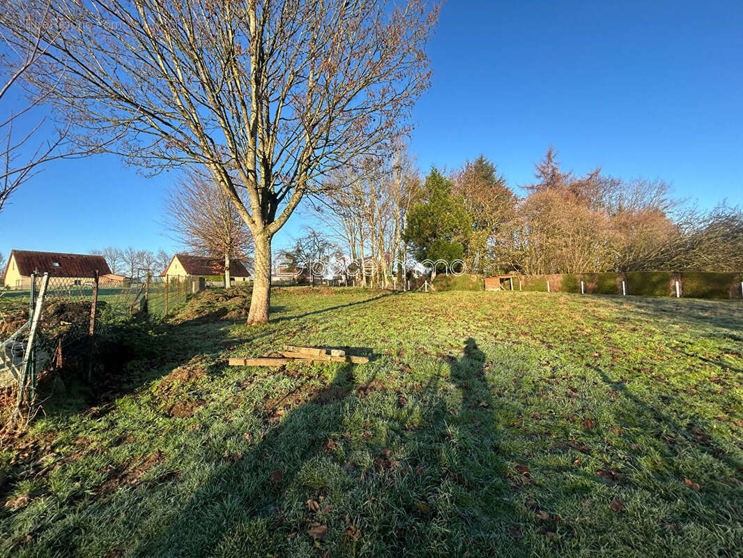 Terrain à BOSC-LE-HARD