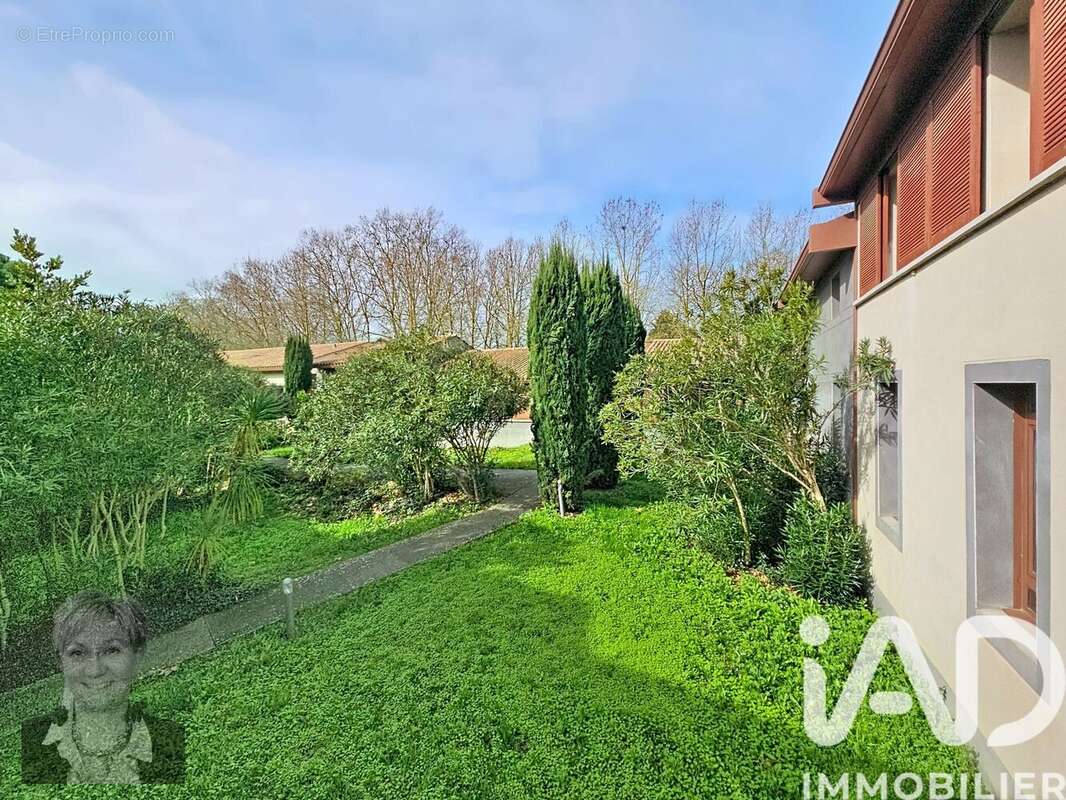 Photo 6 - Appartement à CARCASSONNE