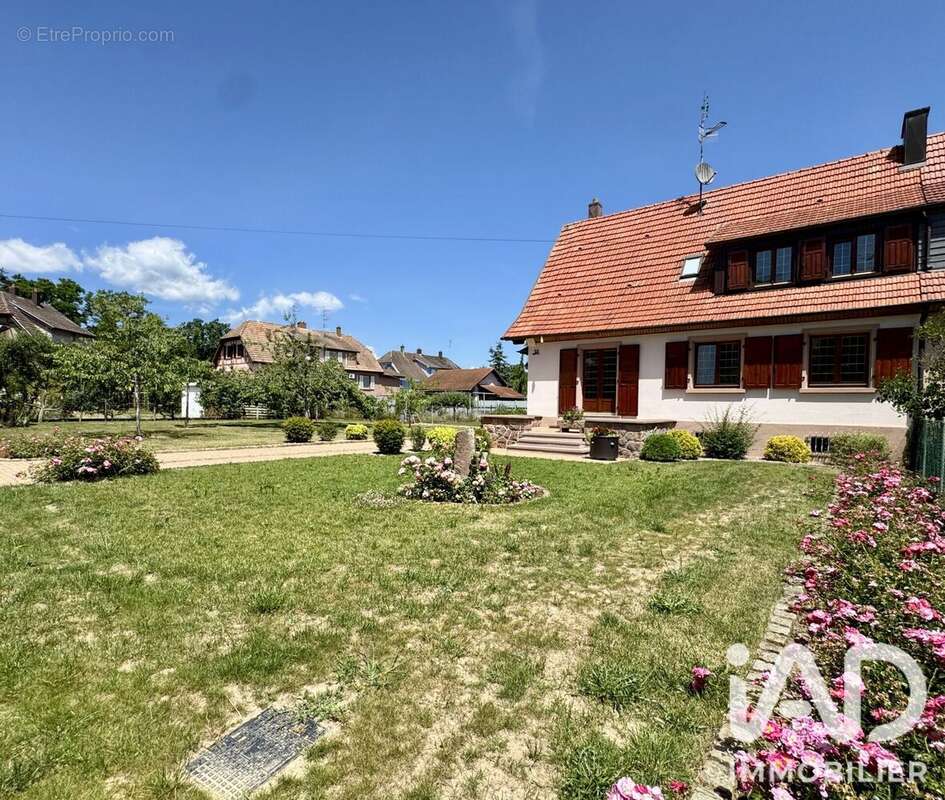 Photo 3 - Maison à WITTELSHEIM