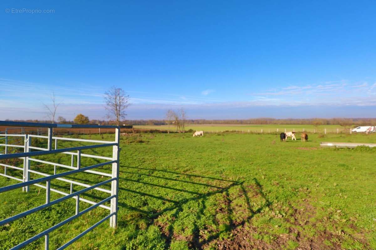 Commerce à SAINT-JEAN-DE-LOSNE