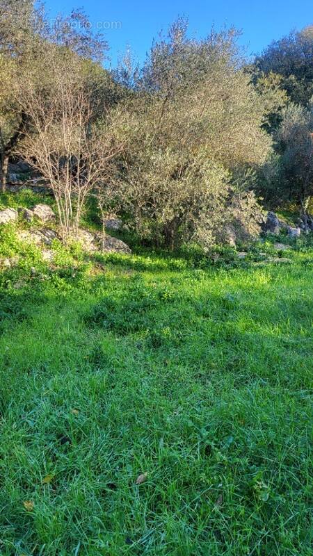 Terrain à CAMPS-LA-SOURCE
